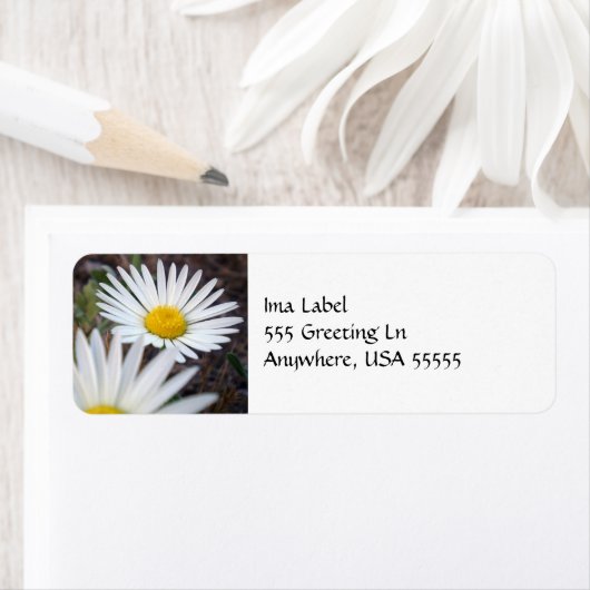 Daisy Day Label (Insitu)