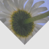 Daisy Day Seidenpapier (Ausschnitt)