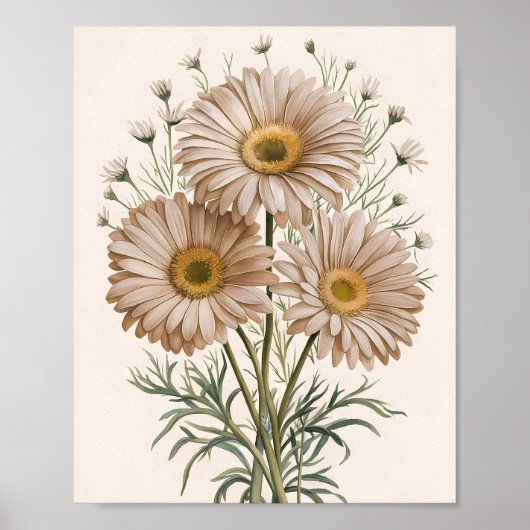 Daisy Daydream Poster (Vorne)