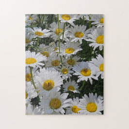 Daisy Daydream Puzzle, 11" x 14", 252 pieces Puzzle