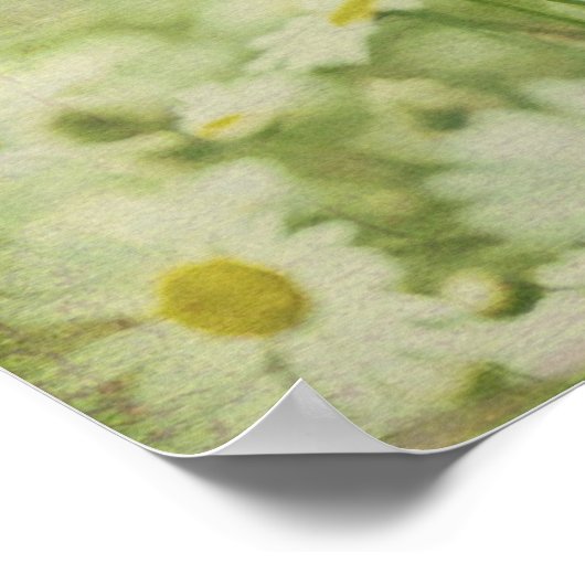 Daisy Daydreams Poster (Ecke)