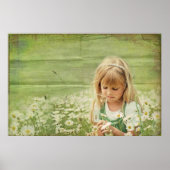 Daisy Daydreams Poster (Vorne)