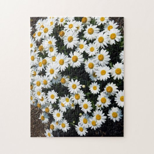 Daisy Days Puzzle (Vertikal)