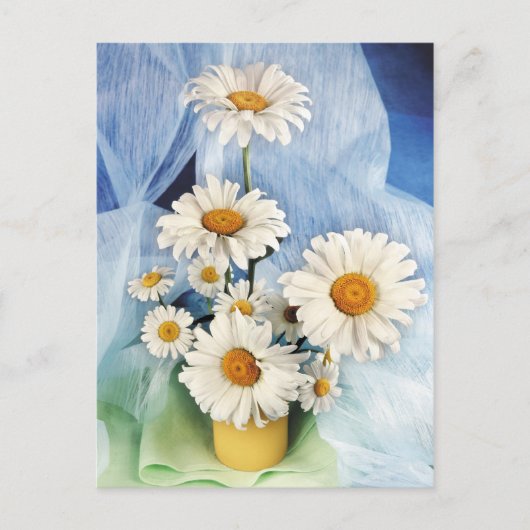 Daisy Decor Postkarte (Vorderseite)