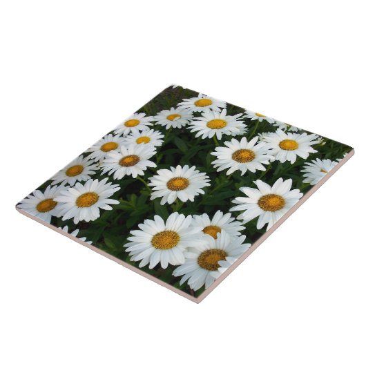 Daisy Decorative Tile Fliese (Seite)