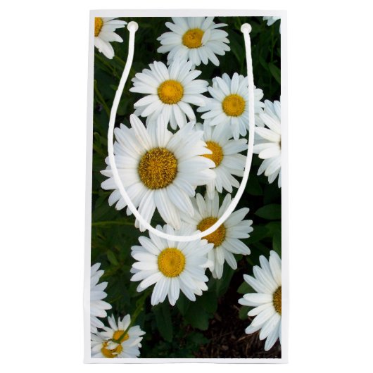 Daisy Delight Geschenktasche Kleine Geschenktüte (Vorderseite)