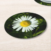 Daisy Delight Paper Untersetzer (Angewinkelt)