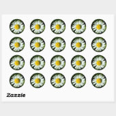Daisy Delight Runder Aufkleber (Blatt)