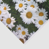 Daisy Delight Tissue Paper Seidenpapier (Ausschnitt)