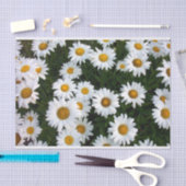 Daisy Delight Tissue Paper Seidenpapier (Handwerk)