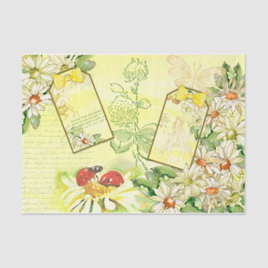 Daisy Design Serie 7 Seidenpapier (Vorderseite)
