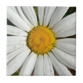 Daisy Dew Tile Fliese (Vorderseite)