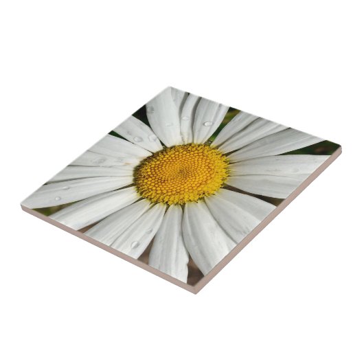 Daisy Dew Tile Fliese (Seite)