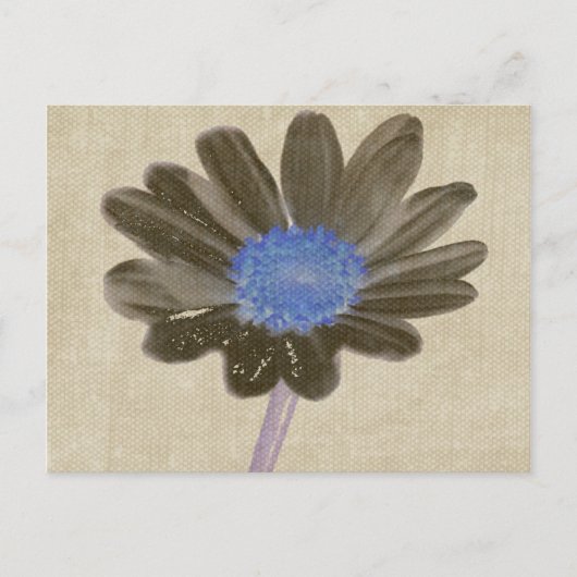 Daisy Digital Art Postcard Postkarte (Vorderseite)