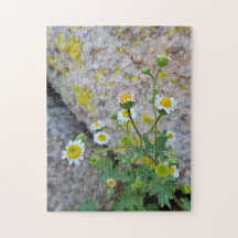 Daisy Dots of Delight Puzzle, 28 cm x 35,5 cm, 252