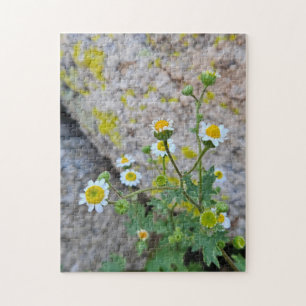 Daisy Dots of Delight Puzzle, 28 cm x 35,5 cm, 252 Puzzle