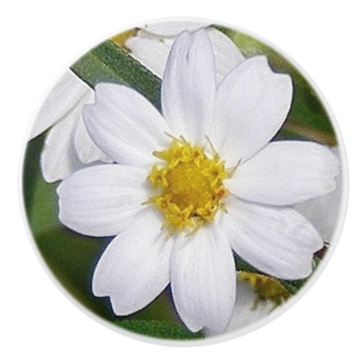 Daisy Drawer Pull Keramikknauf (Vorderseite)