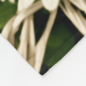 Daisy Dream Fleece Bliss (Ecke)