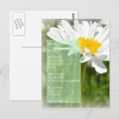 Daisy Dream Gedicht Inspiration Postkarte (Vorne/Hinten)