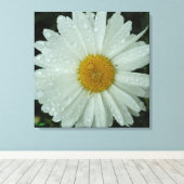 Daisy Dream Leinwanddruck (Insitu (Holzboden))