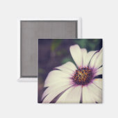 Daisy drucken. magnet (Vorderseite/Rückseite)