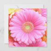 Daisy Einladungen - Rosa Gerber Daisy (Rückseite)