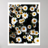 Daisy Emoji Faces Poster (Vorne)