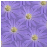 Daisy Fabric Lila Daisy Fabric Cotton oder Poly Stoff (Nahaufnahme)