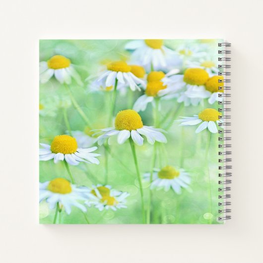 Daisy Feier des Lebens Foto Beerdigung Gästebuch Notizblock (Rückseite)