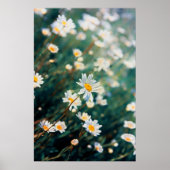 Daisy-Feld Poster (Vorne)