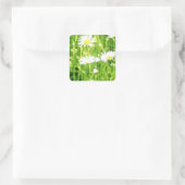 Daisy Field Quadratischer Aufkleber (Tasche)