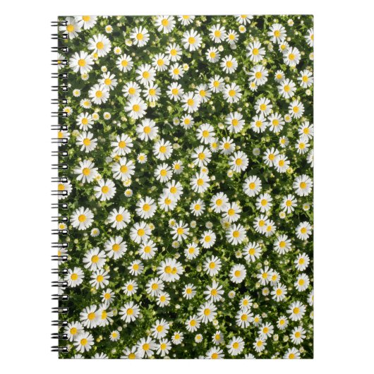 Daisy Field Spiral Notebook Notizblock (Vorderseite)