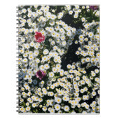 Daisy Field Spiral Notebook Notizblock (Vorderseite)