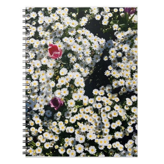Daisy Field Spiral Notebook Notizblock (Vorderseite)