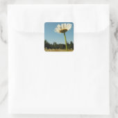 Daisy Field Sticker (Tasche)