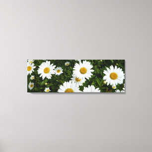 Daisy Field Wrapped Canvas Print Leinwanddruck