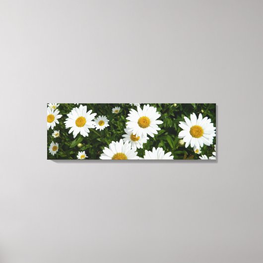 Daisy Field Wrapped Canvas Print Leinwanddruck (Vorderseite)