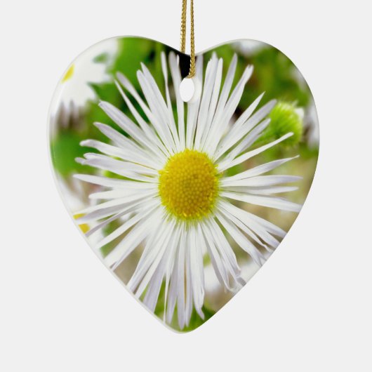 Daisy Fleabane Keramikornament (Rechts)