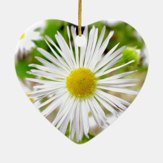 Daisy Fleabane Keramikornament (Hinten)