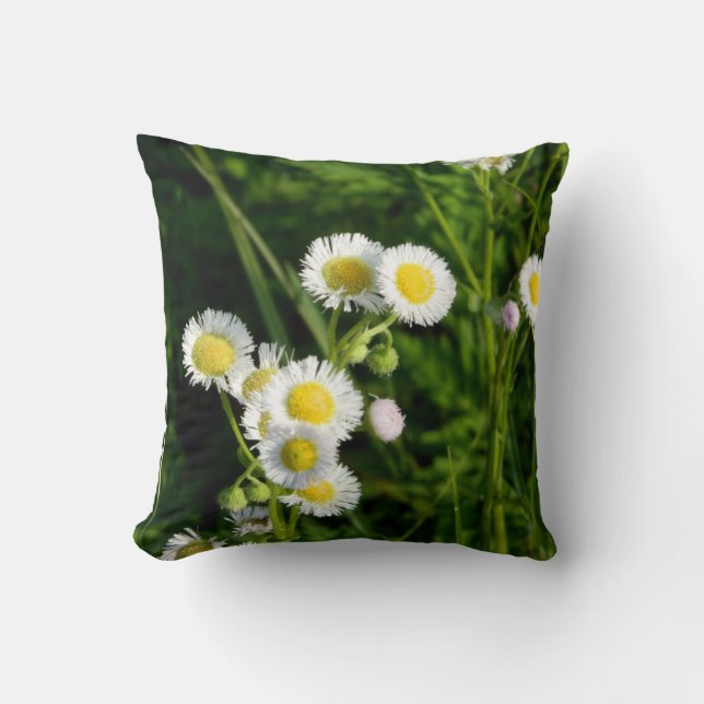 Daisy Fleabane Pillow Kissen (Vorderseite)