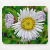 Daisy Fleabane Wildblume Mousepad (Vorne)