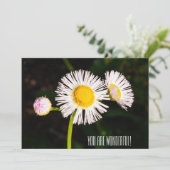 Daisy Flohbock-Blume. Du bist wunderbar! Dankeskarte (Stehend Vorderseite)
