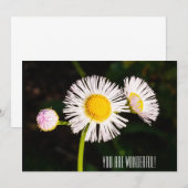 Daisy Flohbock-Blume. Du bist wunderbar! Dankeskarte (Vorne/Hinten)