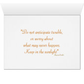 Daisy Flower PHotography (Innenansicht Horizontal (Unten))