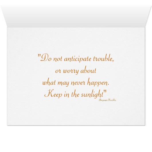 Daisy Flower PHotography (Innenansicht Horizontal (Unten))