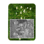 Daisy Flowers In Field Add Your Photo Magnet (Vertikal)