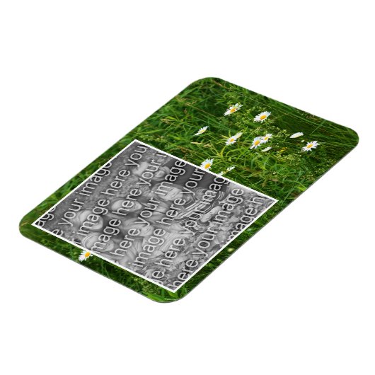 Daisy Flowers In Field Add Your Photo Magnet (Linke Seite)