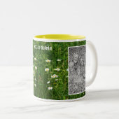 Daisy Flowers In Field Add Your Photo Zweifarbige Tasse (VorderseiteRechts)