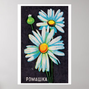 Daisy Flowers - Matchbox Druck - Ästhetische Wandg Poster