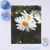 Daisy Flyer (Einzeln)